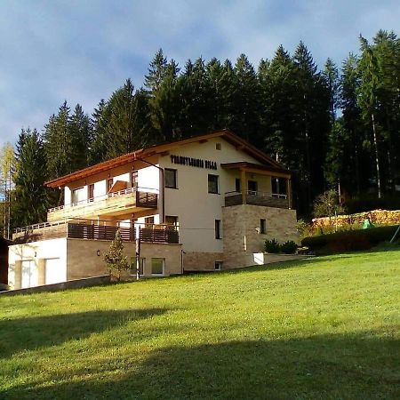 Transylvania Villa & Spa Gosau Dış mekan fotoğraf